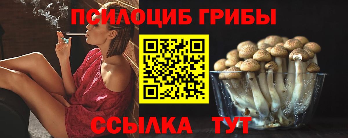 Галлюциногенные грибы Cubensis Москва